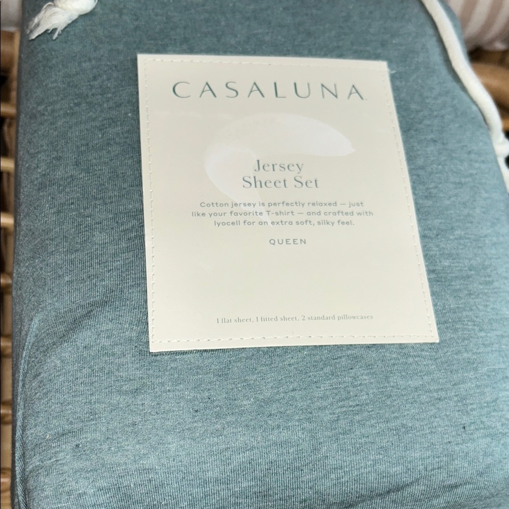 Casaluna Queen Rare Light Teal Jersey Sheet Set in Light Teal